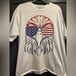Eagle with sunglasses on pictured in American flag theme